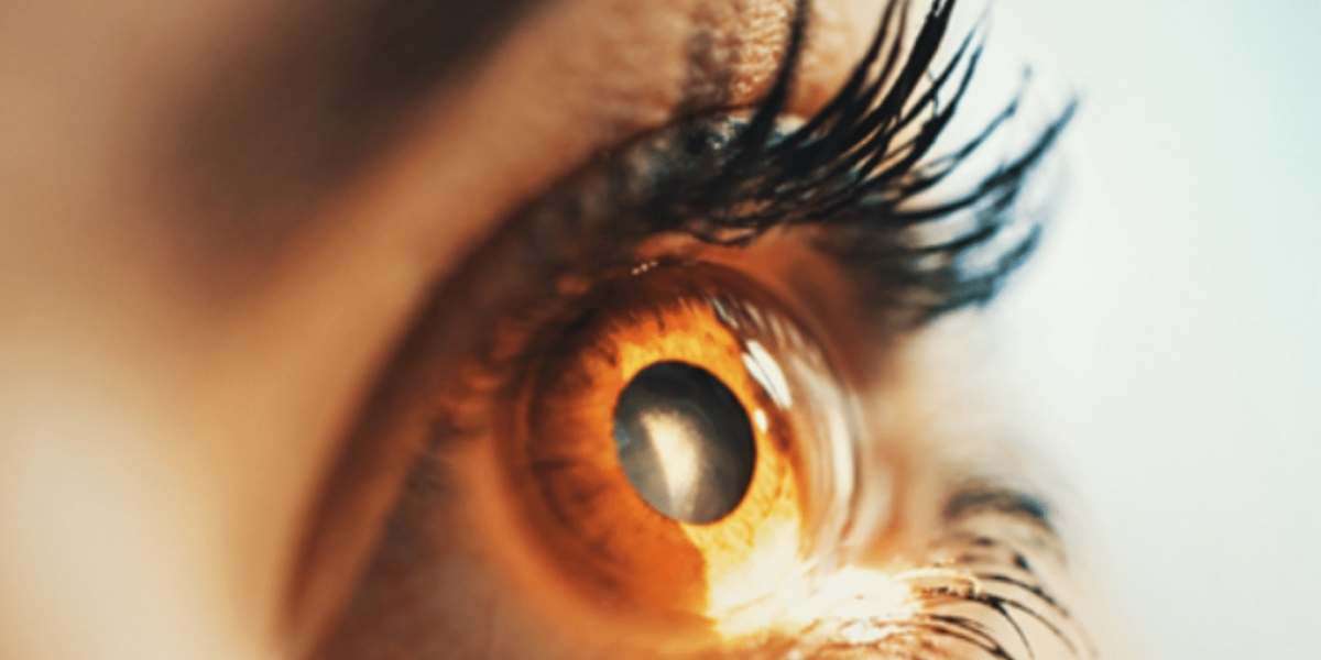 saúde ocular