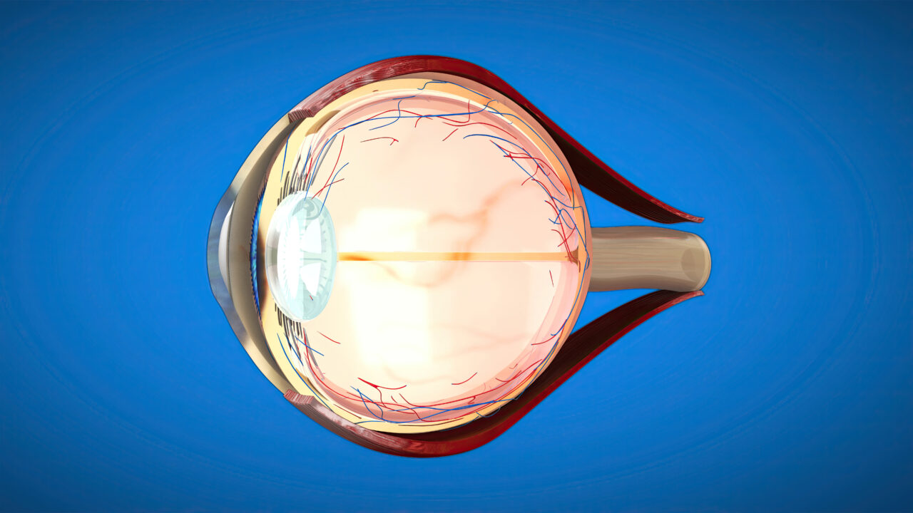 Problemas na retina: quais são as principais doenças e sintomas?